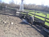 Danielle Thur. Apr. 19th 07